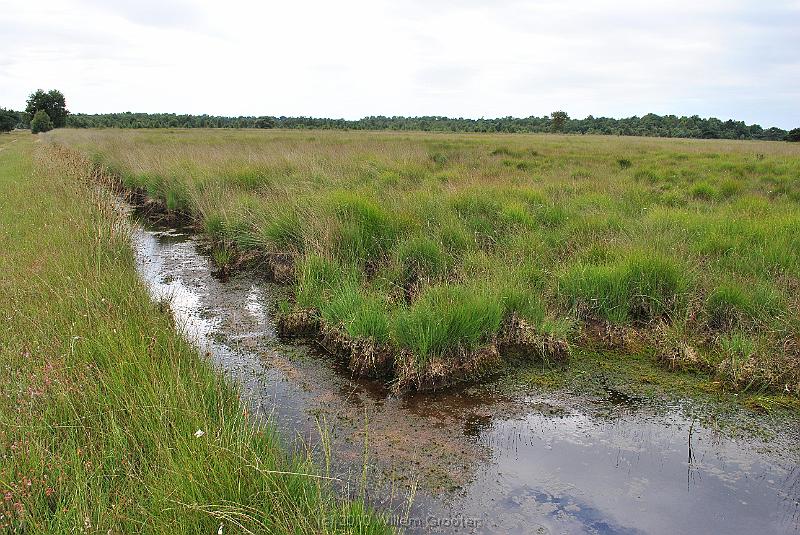 30-Marshes.jpg - ... here, the marshes show the archetype of moorland.