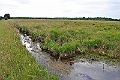 30-Marshes