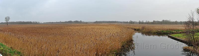 07-ReedFields.jpg - ...leading through wide areas of reed