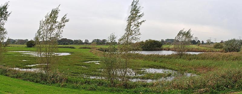 12-Wetlands.jpg - Flooded meadows along the road