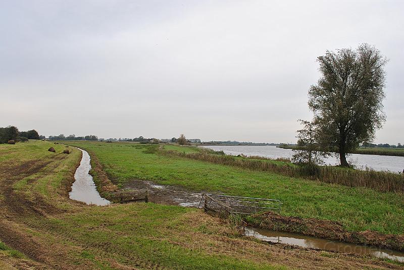 26-Meadows.jpg - On the dyke to genemuiden, along the Zwartewater.