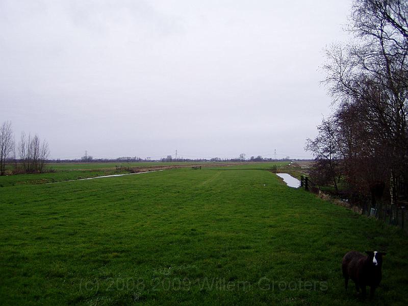 08-Polderland.jpg - The plains of the province of ZuidHoilland and Western Utrecht.