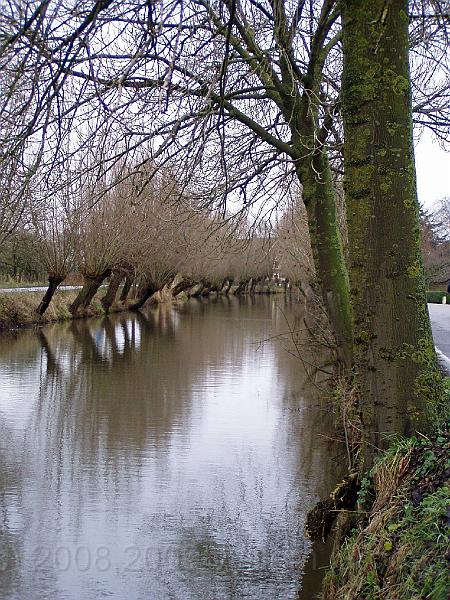 09-LangeLinschoten.jpg - Willows along both sides of the stream