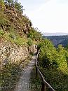 17-DescentToKaub * Once beyond Dorscheid, we headed back to the river, along a narrow valley. * 1488 x 1984 * (576KB)