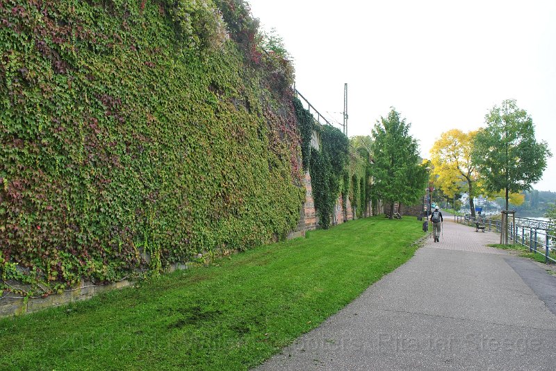 02-LowerWall.jpg - The wall along the Rhine - the main road runs 3 meters over our heads