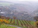 03-Burcht * A castle (Rheinburg? Burg Katz?) as viewed over the vineyard * 1984 x 1488 * (418KB)