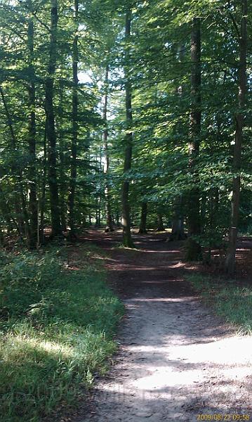 02-IntoWoods.jpg - Heading into the parkland that surrounds the castle